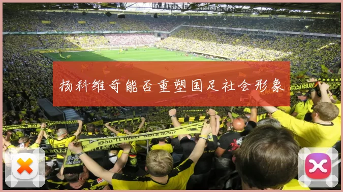 扬科维奇能否重塑国足社会形象
