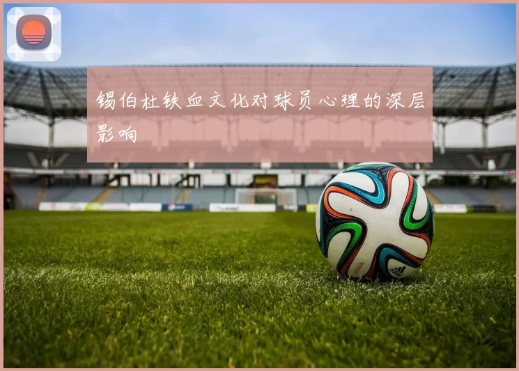 锡伯杜铁血文化对球员心理的深层影响