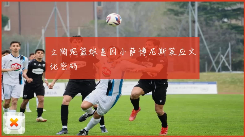 立陶宛篮球基因小萨博尼斯策应文化密码