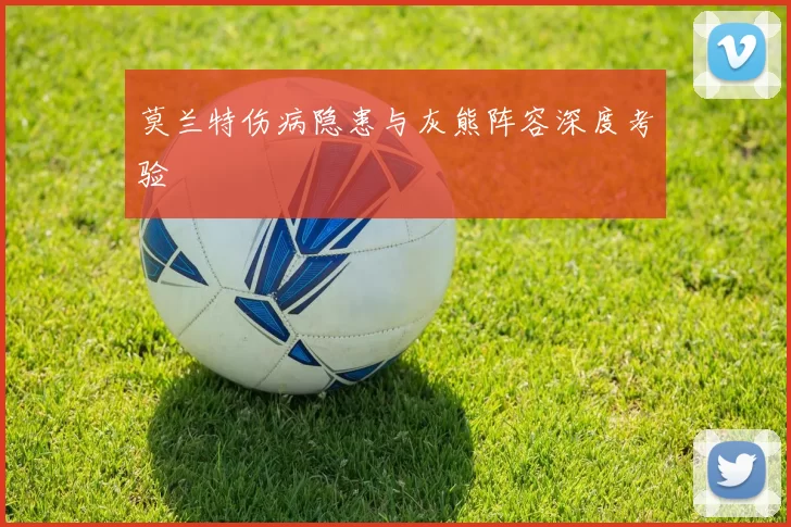 莫兰特伤病隐患与灰熊阵容深度考验